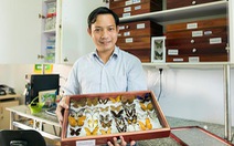 Nhà khoa học Đại học Duy Tân phát hiện loài chuồn chuồn kim mới ở Tây Nguyên