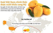 Xoài Việt Nam chính thức xuất khẩu sang Mỹ sau 10 năm đàm phán