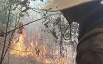 Huy động hơn 100 người chữa cháy rừng