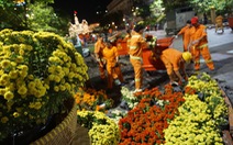 500 người dọn dẹp đường hoa Nguyễn Huệ trong đêm