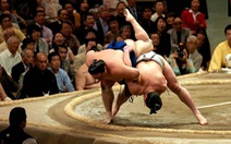 Mỡ võ sĩ sumo nặng cả trăm kg, khác mỡ người béo phì