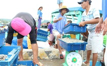 Masan Phú Quốc nói dự thảo tiêu chuẩn nước mắm bị 'tuýt còi'... khả thi