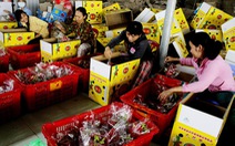 Trung Quốc tăng mua, nhiều loại trái cây tăng giá mạnh