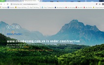 Tạm dừng hoạt động website của chùa Ba Vàng