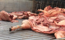 Tiêu hủy ngay hơn 1 tấn thịt heo nghi bị bệnh ở chợ Bình Điền