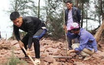 Vụ làm đầm tôm phá rừng phòng hộ: dỡ nhà xây trái phép