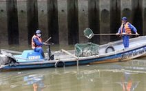 Bắt bớt cá vì kênh Nhiêu Lộc - Thị Nghè chứa không nổi