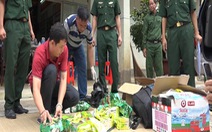 10 ngày bắt giữ gần 70kg ma túy từ Campuchia qua