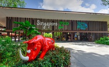 'Singahura - Vui hè Singapore': Trải nghiệm mùa hè cho cả nhà