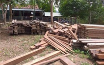 4,6m3 gỗ được giữ trái phép trong trụ sở UBND xã