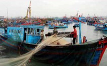 Bảo vệ nguồn lợi thủy sản là bảo vệ ngư dân