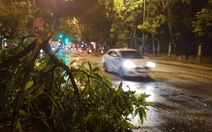 Huế đón mưa đêm giải nhiệt, cây cối đổ ngã giữa đường