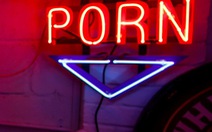 Tiểu bang Mỹ xác định nội dung khiêu dâm 'đầu độc tâm trí con người'