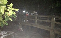 Đang tìm kiếm 2 người bị nước suối cuốn trôi tại Đồng Nai