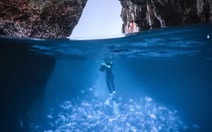 'Nghẹt thở' ảnh đẹp thiên nhiên từ cuộc thi National Geographic Travel
