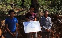 Nghi phạm chủ mưu hạ sát 3.500 cây thông bị bắt tại Lào