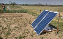 Nông dân Ấn Độ dùng… năng lượng mặt trời để tưới cây