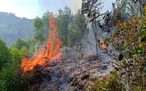 Hơn 900 người chữa cháy rừng ở Nghệ An trong đêm