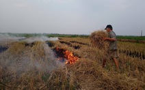 Ô nhiễm bụi mịn tăng cao ở Hà Nội do nhiều nơi đốt rơm rạ