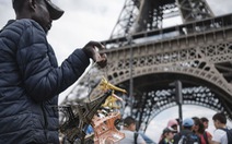 Thế giới kinh doanh phi pháp bên chân tháp Eiffel