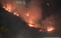 Cháy rừng trên núi Phước Lý, cứu hỏa chỉ chữa được dưới chân núi