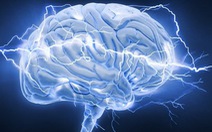 Học những kỹ năng mới - chìa khóa đảo ngược quá trình thoái hóa não ở người già