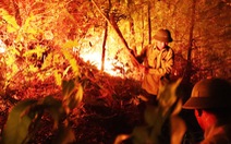 Suốt đêm cứu rừng cháy đỏ đất đỏ trời ở Hà Tĩnh