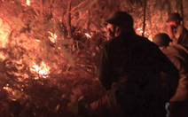 Video: Cháy rừng, nhiều hộ dân di chuyển chỗ ở trong đêm khuya
