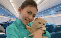 Chú mèo tên... Chó đi máy bay khoang hành khách làm dân mạng choáng váng