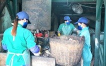 An ninh điều tra Bộ Công an thu thập hồ sơ Nhà máy rác Cà Mau của 'thiếu gia' Tô Công Lý