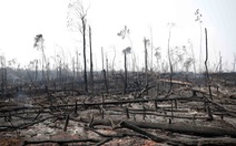 Cháy rừng Amazon hâm nóng G7 ở Pháp