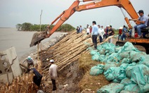 Cà Mau đánh chìm sà lan ngăn sạt lở đê biển Tây