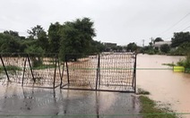 Mưa to kéo dài, hàng trăm ngôi nhà ở huyện biên giới Ea Súp bị ngập chìm