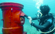Chuyện lạ: Hòm thư độc đáo dưới đáy biển Susami