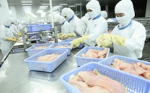 Thực phẩm chế biến Việt Nam dò dẫm vào EU