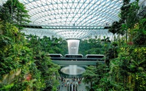 Lạc vào 'khu rừng' bên trong sân bay Changi Singapore