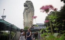 Tượng sư tử biển ở Singapore sẽ bị dỡ bỏ