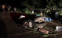 Lại có du khách tử vong khi đi xe máy trên bán đảo Sơn Trà