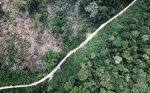 Rừng Amazon góp 20% khí oxy cho Trái đất, có đúng không?