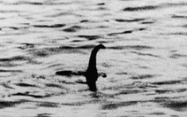 Quái vật Hồ Loch Ness là một con lươn khổng lồ?