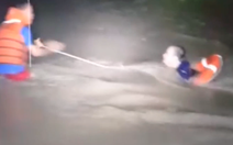 Video: 4 người đi ô tô bị nước cuốn trôi xuống suối