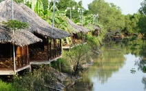 Vi vu miền quê Nam Bộ đẹp như cổ tích