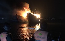 2 tàu cá cháy trụi nghi do chủ tàu đốt thuốc xông