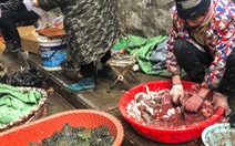 Trung Quốc cấm bán động vật hoang dã, 80 người chết vì virus corona mới