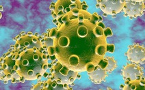 Nhiều tỉnh, thành bác tin có ca nhiễm virus corona như trên mạng đăng tải