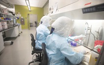 Giới khoa học chạy đua chế tạo văcxin chống virus corona mới