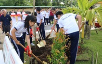 'Toyota chung tay xanh hóa học đường' nhân rộng mảng xanh tại nhiều trường học