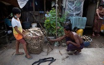 COVID-19 khiến người nghèo Myanmar phải ăn rắn, chuột qua ngày?