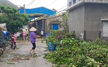 Đảo Cù Lao Chàm như bị xé vụn sau bão số 9