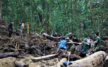 Cào bùn, bới đất tìm tung tích nạn nhân còn mất tích ở Trà Leng